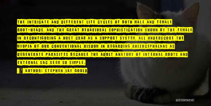 Conventional Life Quotes By Stephen Jay Gould Conventional Life Quotes By Stephen Jay Gould