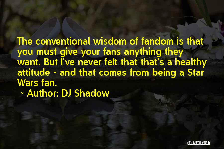 Conventional Wisdom Quotes By DJ Shadow