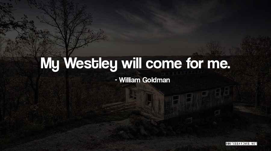 Conventos Franciscanos Quotes By William Goldman Conventos Franciscanos Quotes By William Goldman