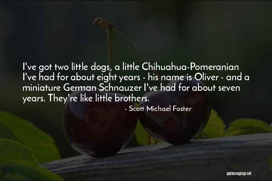 Convenzioni Quixa Quotes By Scott Michael Foster Convenzioni Quixa Quotes By Scott Michael Foster