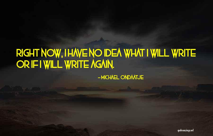 Conversao De Reais Quotes By Michael Ondaatje Conversao De Reais Quotes By Michael Ondaatje