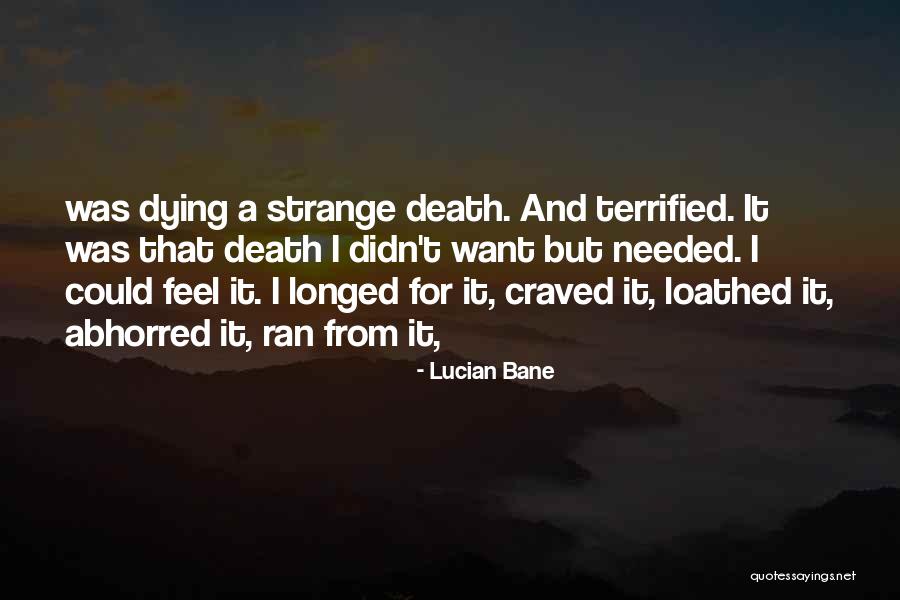 Conversation Heart Candy Quotes By Lucian Bane Conversation Heart Candy Quotes By Lucian Bane