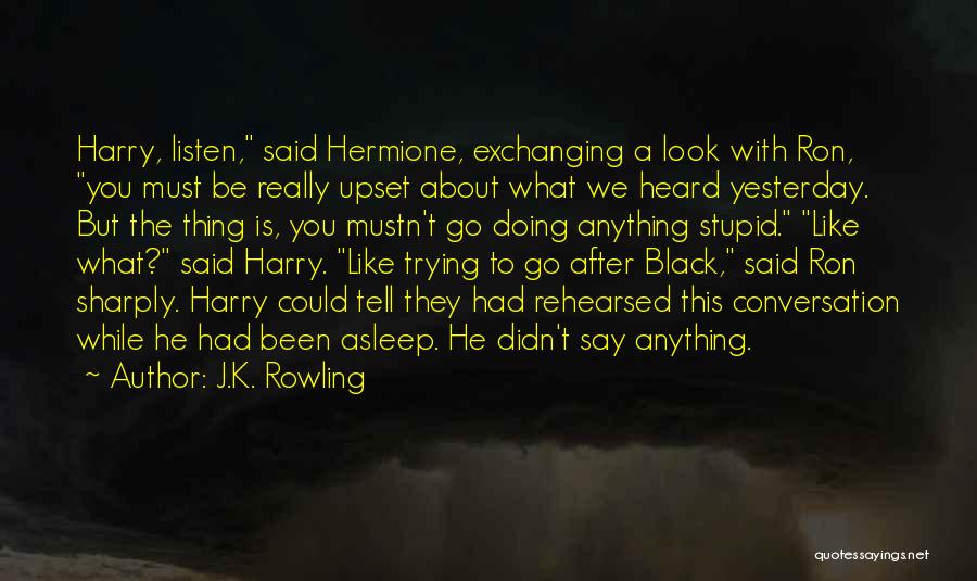 Conversation With You Quotes By J.K. Rowling