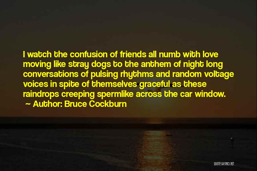 Conversations With Friends Quotes By Bruce Cockburn