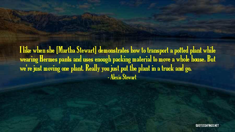 Conversions Of English And Spanish Quotes By Alexis Stewart Conversions Of English And Spanish Quotes By Alexis Stewart