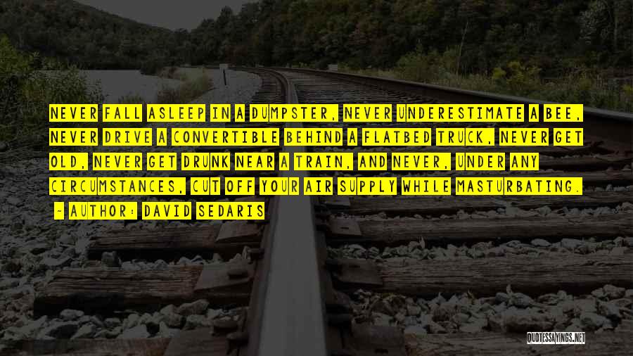 Convertible Quotes By David Sedaris