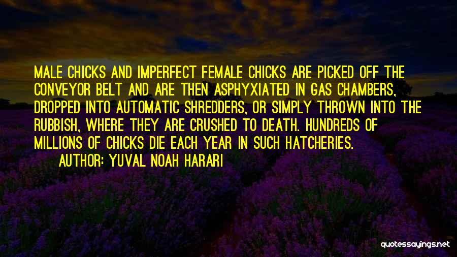 Conveyor Belt Quotes By Yuval Noah Harari