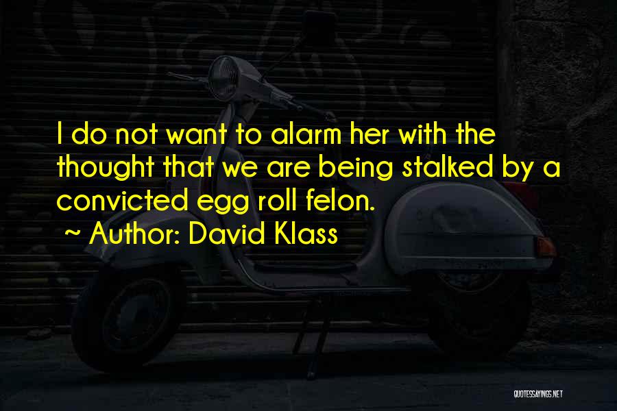 Convicted Felon Quotes By David Klass