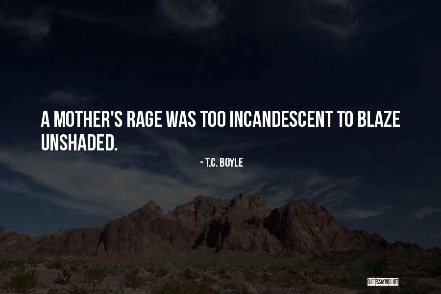 Convidar Significado Quotes By T.C. Boyle Convidar Significado Quotes By T.C. Boyle