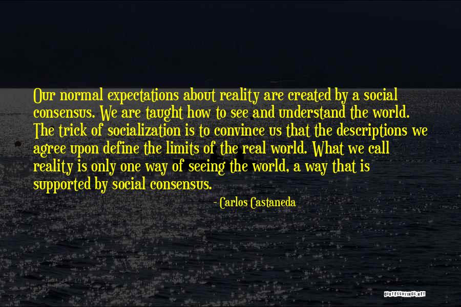 Convince Us Quotes By Carlos Castaneda Convince Us Quotes By Carlos Castaneda