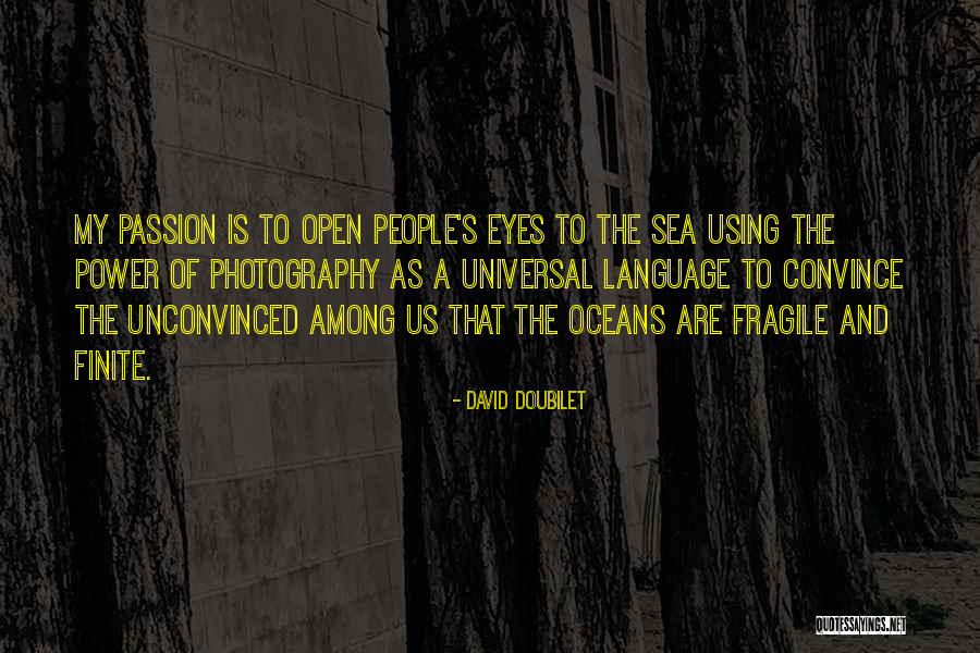 Convince Us Quotes By David Doubilet Convince Us Quotes By David Doubilet