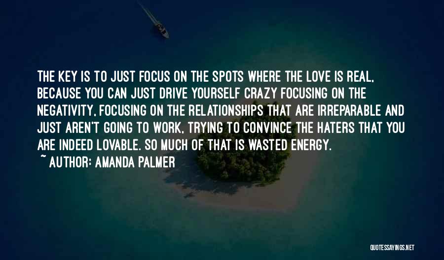 Convince You Quotes By Amanda Palmer