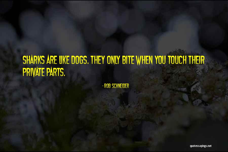 Convincente Sinonimo Quotes By Rob Schneider