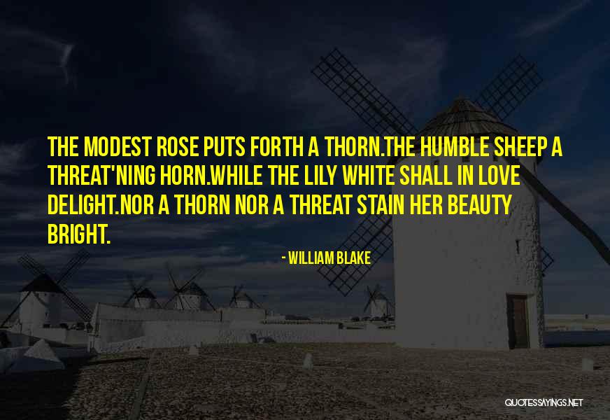 Convino English Quotes By William Blake Convino English Quotes By William Blake