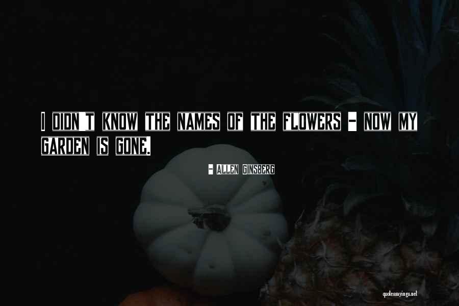 Convivamos Seguridad Quotes By Allen Ginsberg Convivamos Seguridad Quotes By Allen Ginsberg
