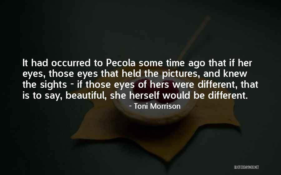 Convoque Seu Quotes By Toni Morrison Convoque Seu Quotes By Toni Morrison