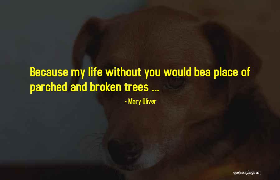 Convulsive Seizures Quotes By Mary Oliver Convulsive Seizures Quotes By Mary Oliver