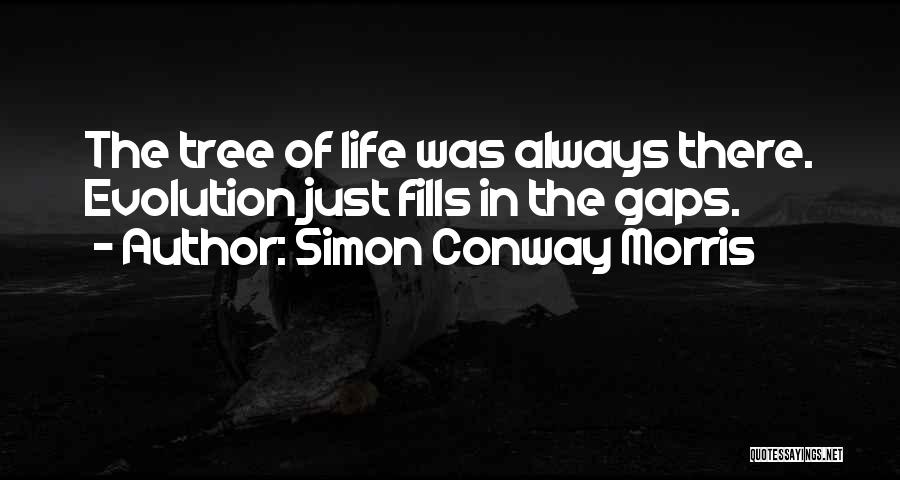 Conway Quotes By Simon Conway Morris