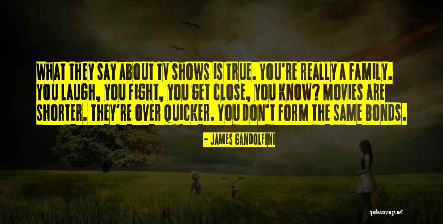 Conyngham Quotes By James Gandolfini Conyngham Quotes By James Gandolfini