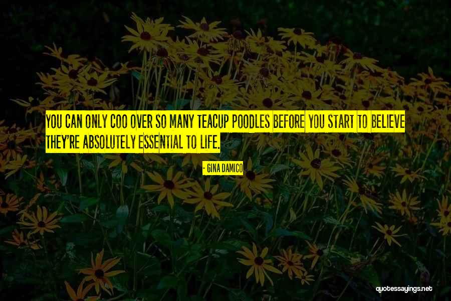 Coo Quotes By Gina Damico Coo Quotes By Gina Damico