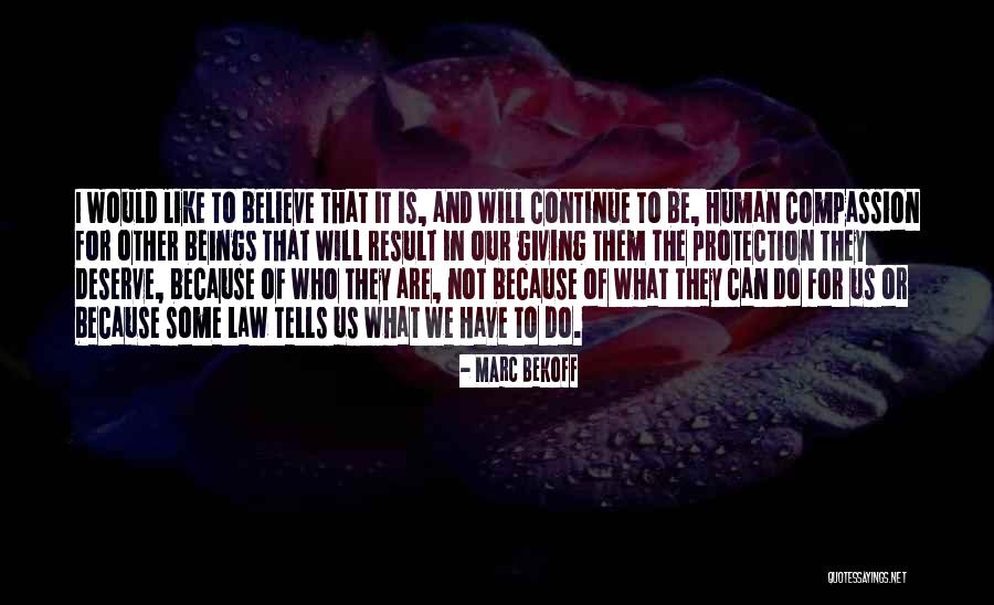 Cook Brothers Quotes By Marc Bekoff