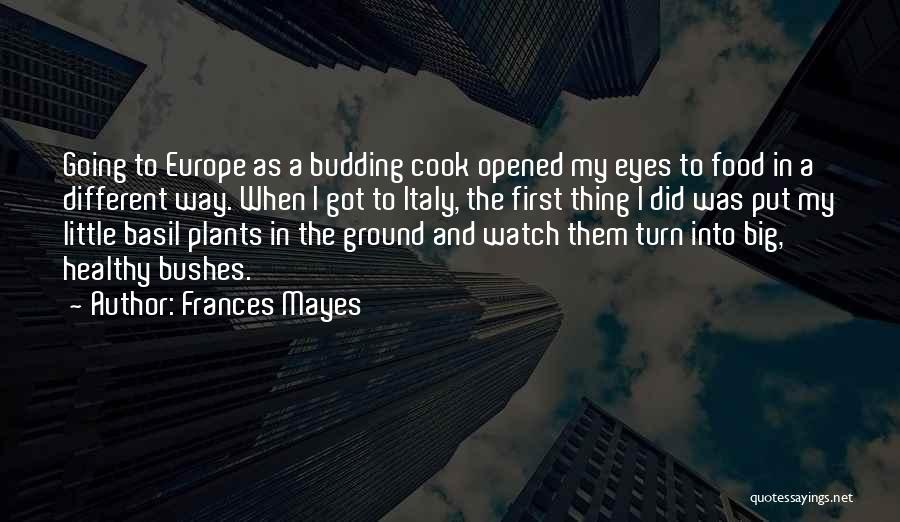 Cook Food Quotes By Frances Mayes