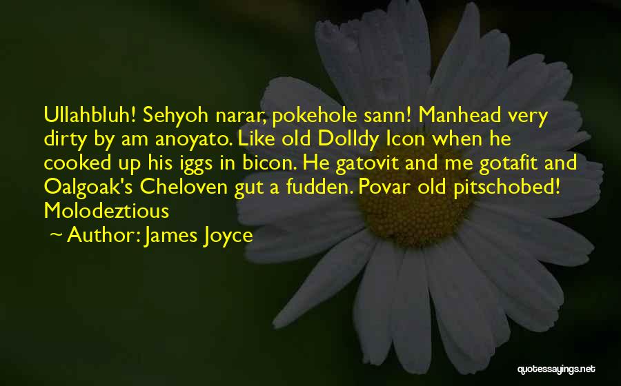 Cooked By Me Quotes By James Joyce