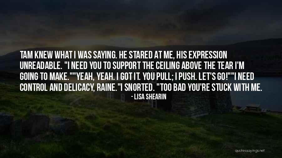 Cookie Decorating Quotes By Lisa Shearin Cookie Decorating Quotes By Lisa Shearin