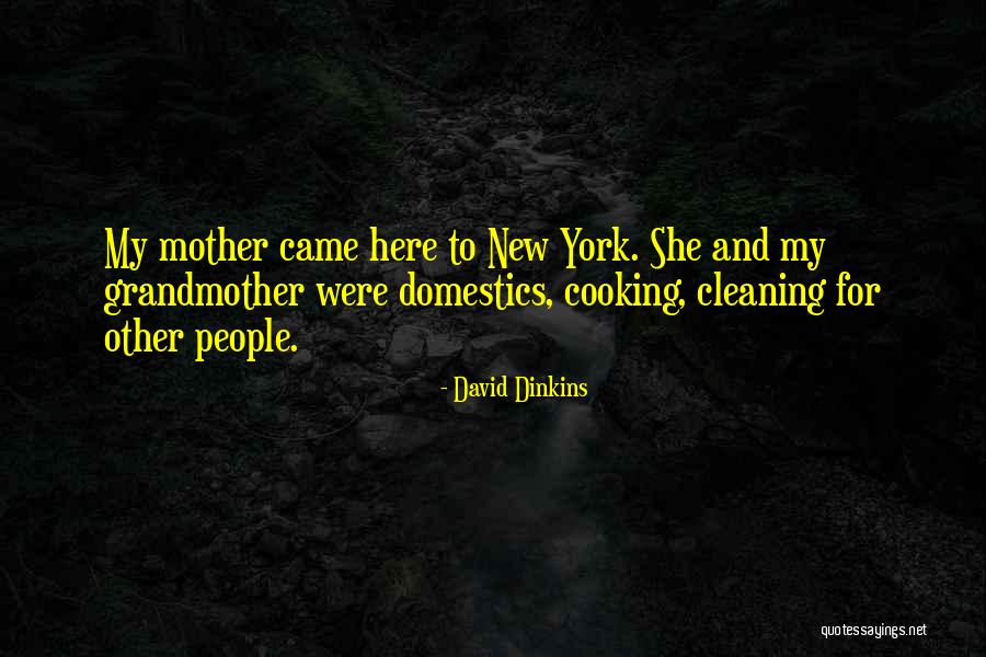 Cooking And Cleaning Quotes By David Dinkins