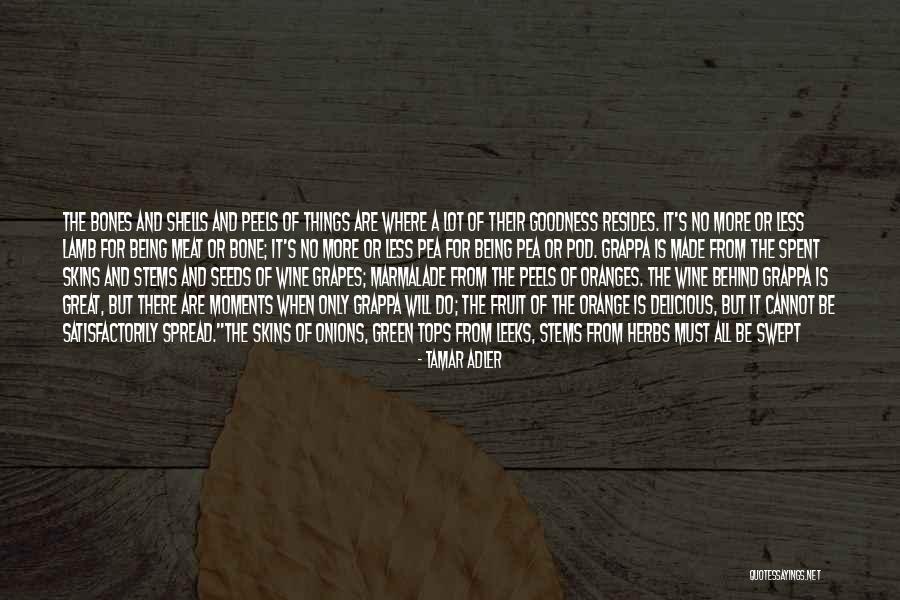 Cooking And Wine Quotes By Tamar Adler Cooking And Wine Quotes By Tamar Adler