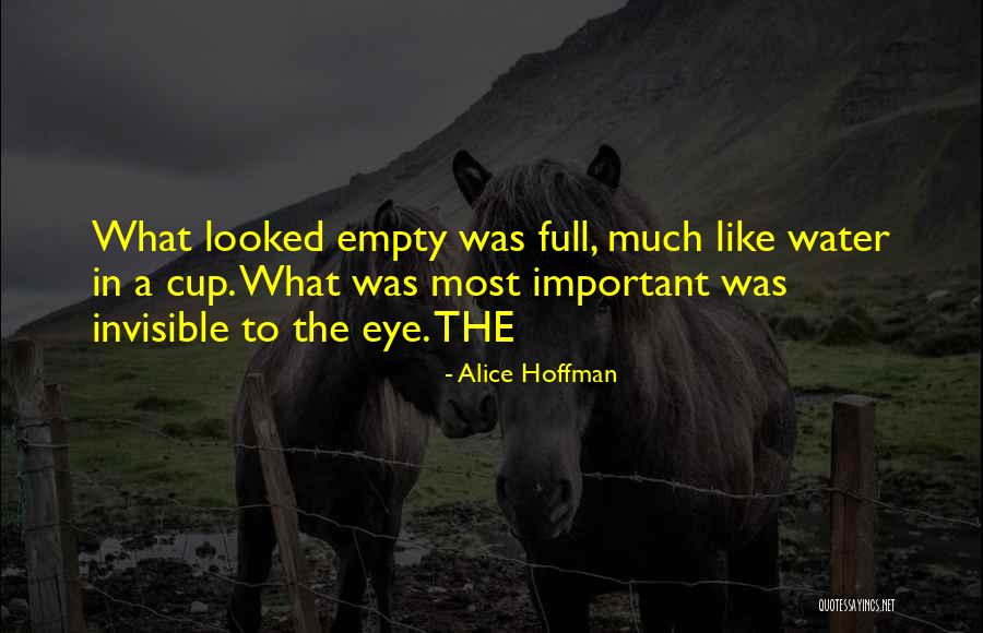 Cooking Class Quotes By Alice Hoffman Cooking Class Quotes By Alice Hoffman