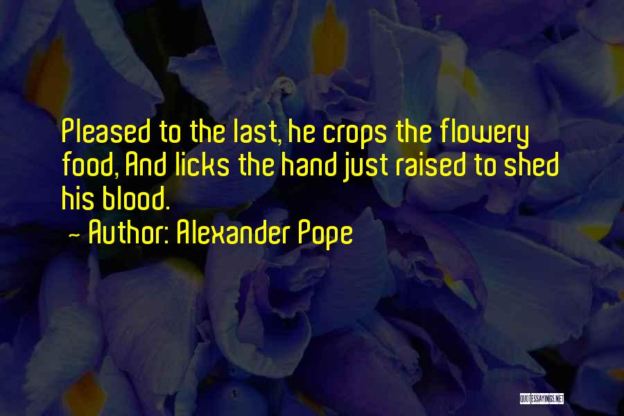 Cooking Food Quotes By Alexander Pope