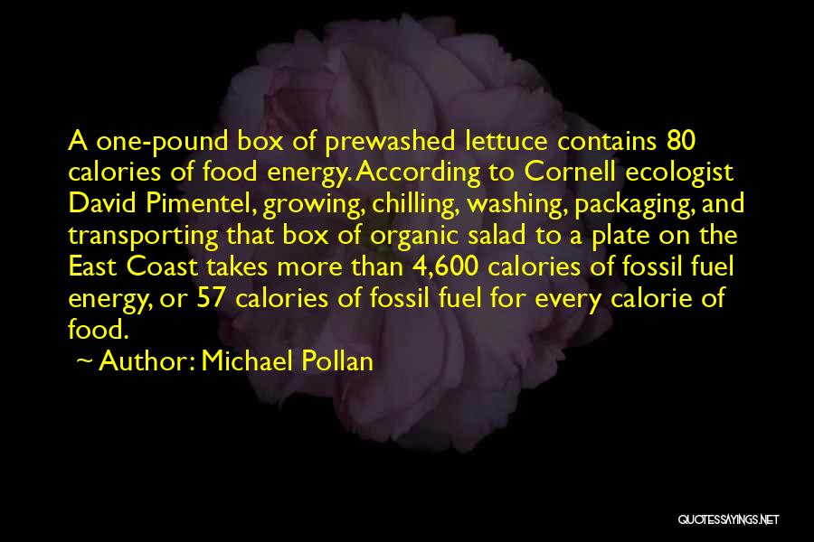 Cooking For One Quotes By Michael Pollan