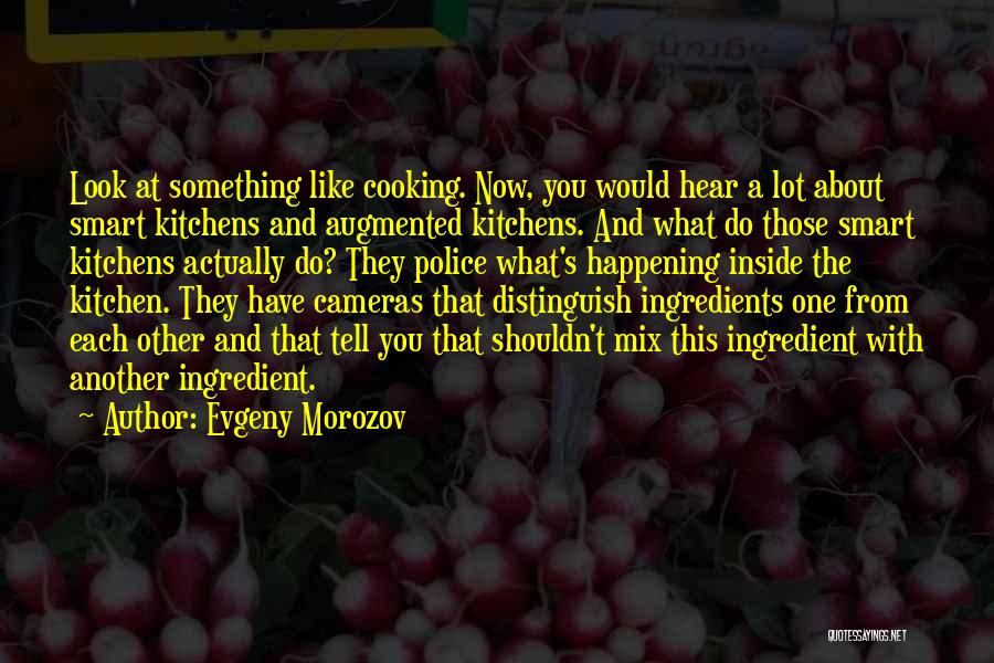 Cooking Kitchen Quotes By Evgeny Morozov