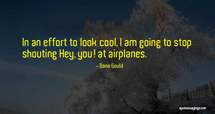 Cool Airplanes Quotes By Dana Gould Cool Airplanes Quotes By Dana Gould