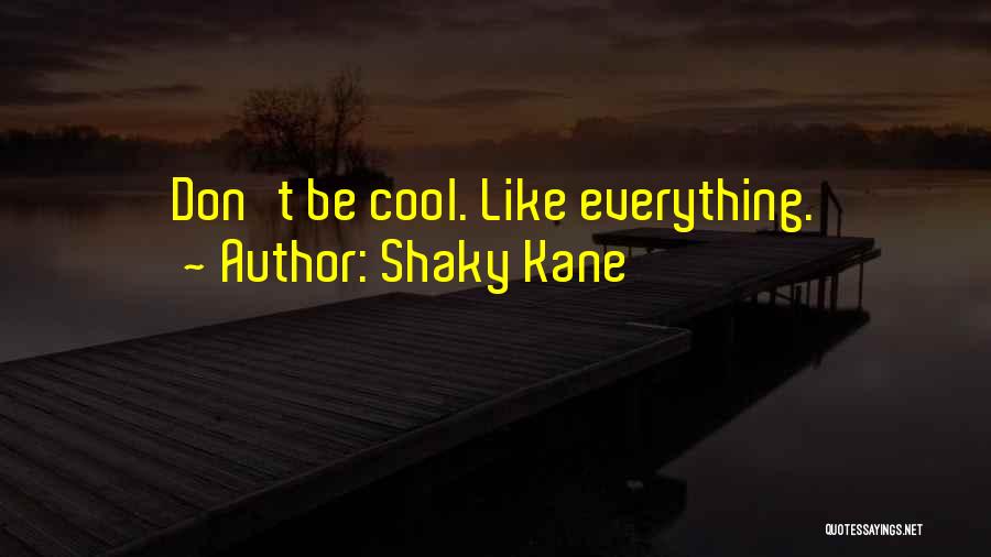 Cool Art Quotes By Shaky Kane