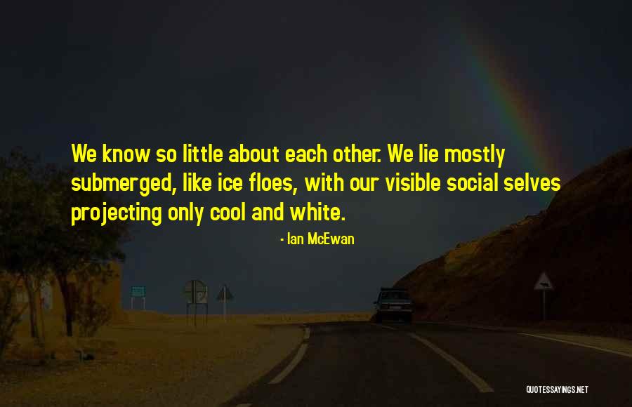 Cool As Ice Quotes By Ian McEwan