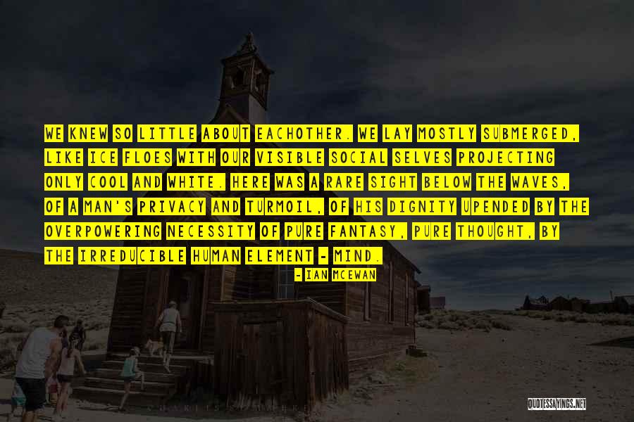 Cool As Ice Quotes By Ian McEwan Cool As Ice Quotes By Ian McEwan