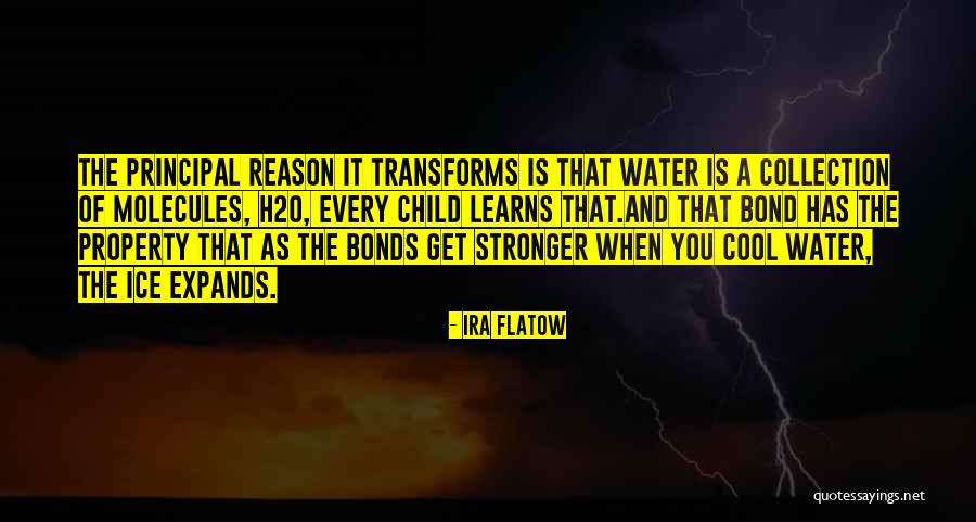 Cool As Ice Quotes By Ira Flatow