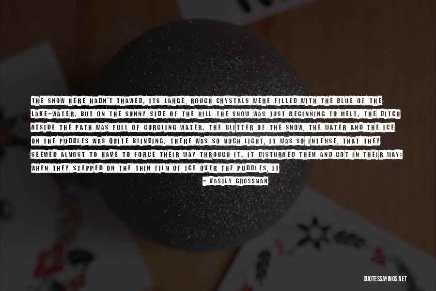 Cool As Ice Quotes By Vasily Grossman Cool As Ice Quotes By Vasily Grossman