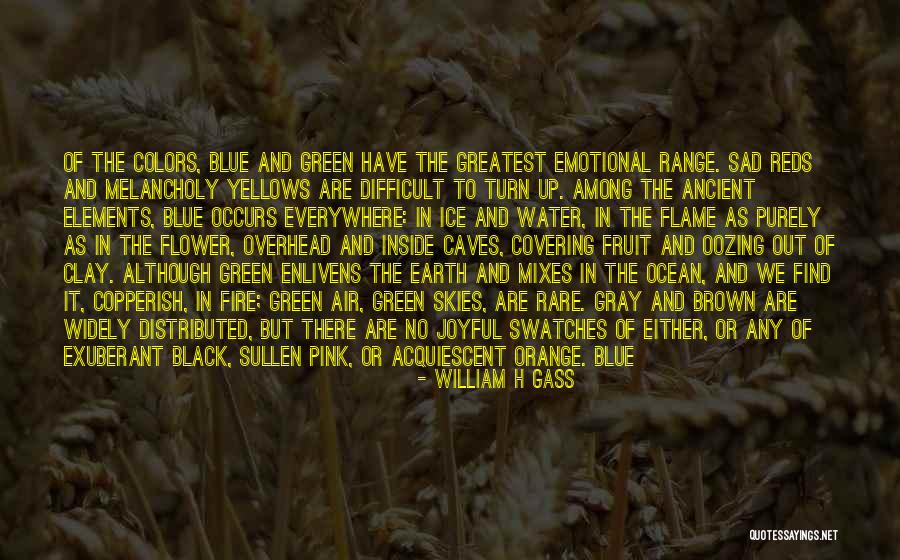 Cool As Ice Quotes By William H Gass Cool As Ice Quotes By William H Gass