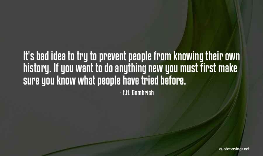 Cool Assassins Quotes By E.H. Gombrich Cool Assassins Quotes By E.H. Gombrich