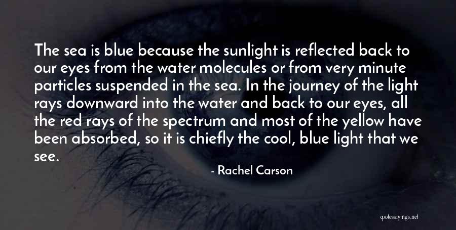 Cool Blue Quotes By Rachel Carson Cool Blue Quotes By Rachel Carson