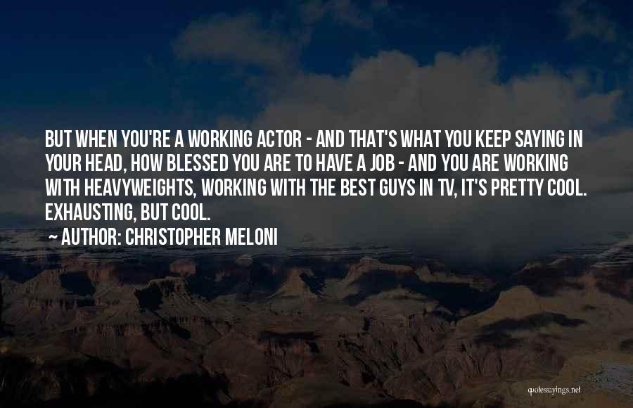 Cool Guys Quotes By Christopher Meloni