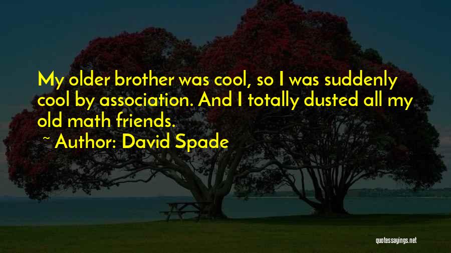 Cool Math Quotes By David Spade