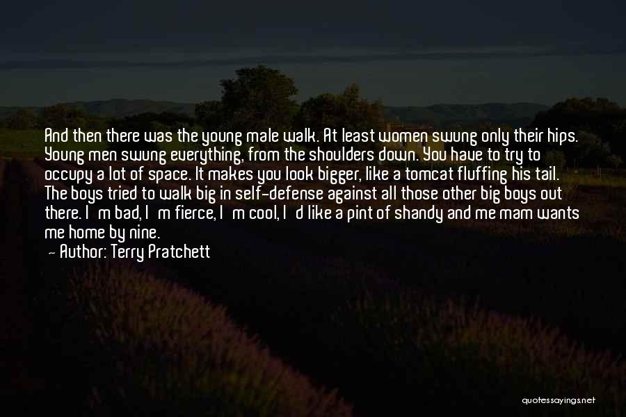 Cool Me Down Quotes By Terry Pratchett