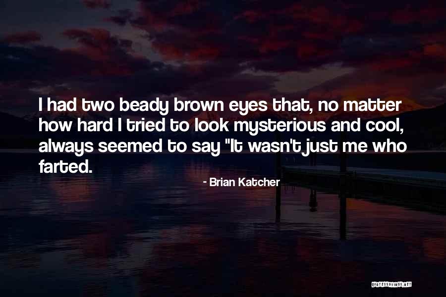 Cool Mysterious Quotes By Brian Katcher Cool Mysterious Quotes By Brian Katcher