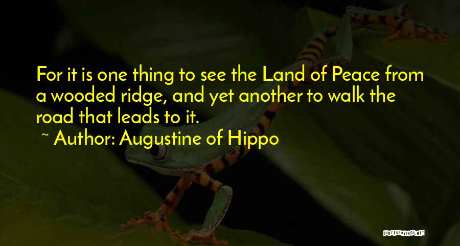 Cool Off Road Quotes By Augustine Of Hippo