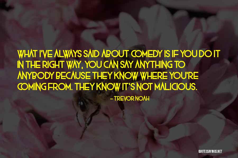 Cool Skateboarding Quotes By Trevor Noah Cool Skateboarding Quotes By Trevor Noah