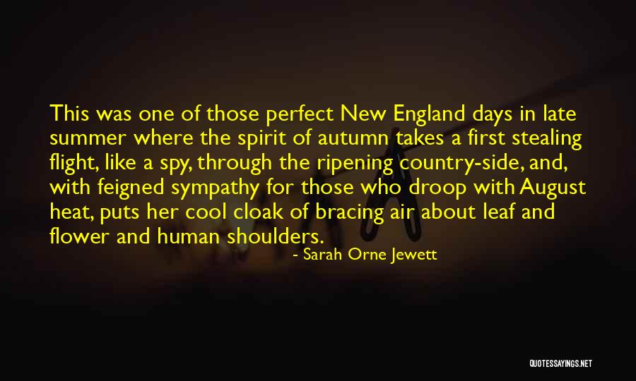 Cool Spy Quotes By Sarah Orne Jewett Cool Spy Quotes By Sarah Orne Jewett